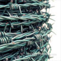 galvanized and stainless steel barbed wire
